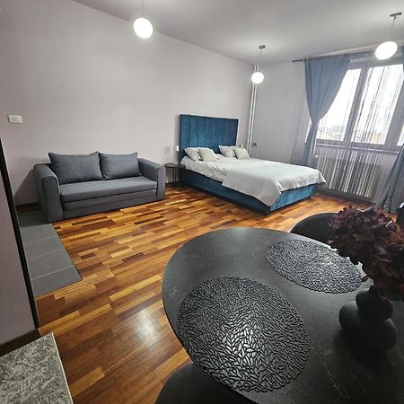Central Sweet Apartment Self Check-In Temešvár Exteriér fotografie