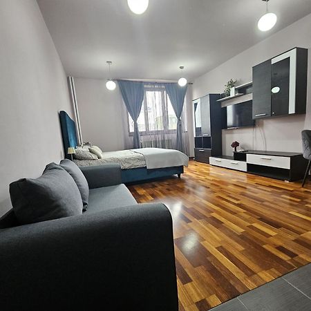 Central Sweet Apartment Self Check-In Temešvár Exteriér fotografie