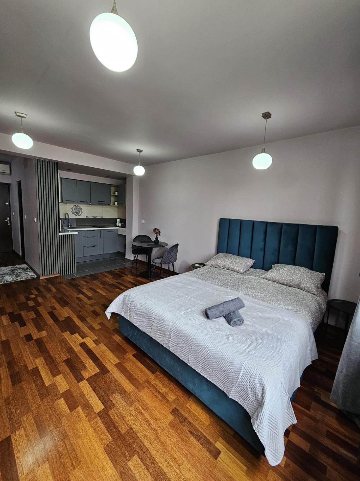 Central Sweet Apartment Self Check-In Temešvár Exteriér fotografie